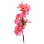 فایل لایه باز فصل صورتی