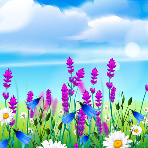 وکتور فصل هوای ارام