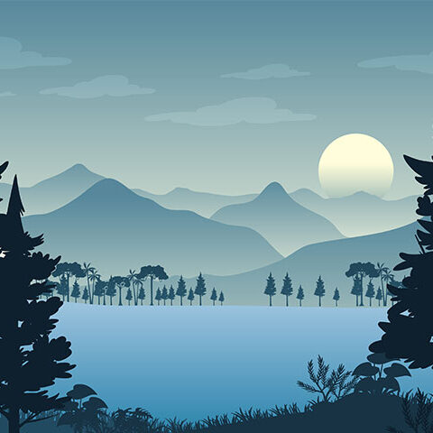 وکتور اسمان شب