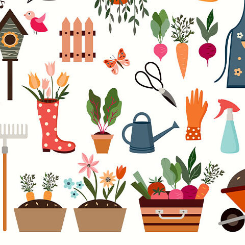 وکتور فصل کاشت