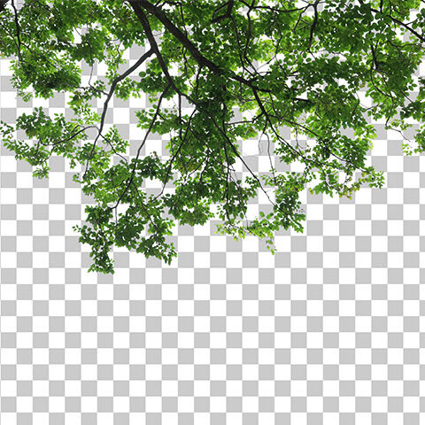 فایل لایه باز شبنم