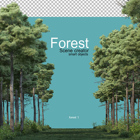 فایل لایه باز علفزار