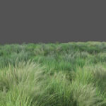 فایل لایه باز کشتزار