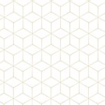 وکتور الگو شش ضلعی